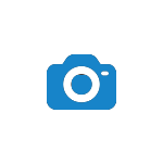 Kediler Rüya Görür Mü? Nasıl Anlaşılır?