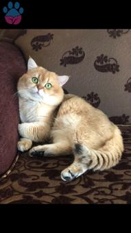 Yakışıklı Oğlumuz ANŞAR