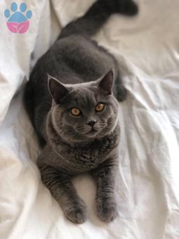 Mio ? Oğlumuza eş arıyoruz