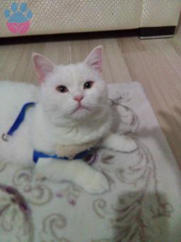 Maşallah Güzel Oğluma ?