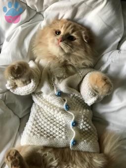 Oğluma Simsiyah Bir Eş Arıyorum