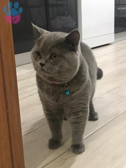 Dumanımızaaa Gelin Arıyoruz??‍♀️