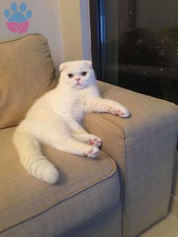 13 Aylık Oğlumuza Tatlı Bir Eş :)