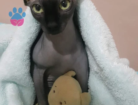 Güzel kızımız eş arıyor♡