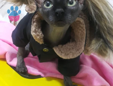 Güzel kızımız eş arıyor♡