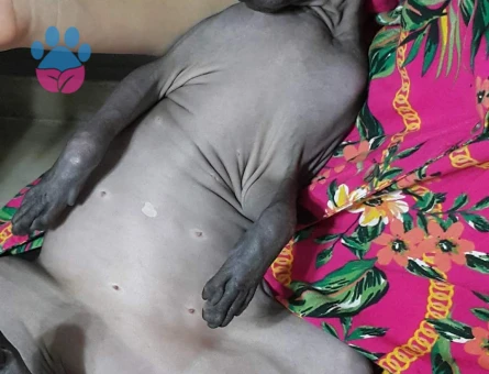 Güzel kızımız eş arıyor♡