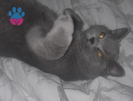 Yanıma yakışan bir Es arıyorum