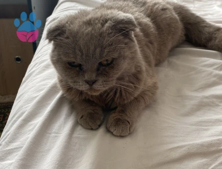 Kızımıza acil erkek