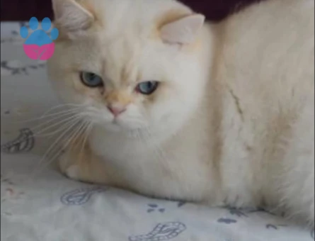 Çok tatlı yakışıklı oğlum