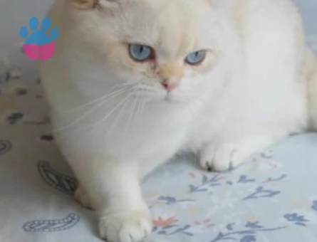 Çok tatlı yakışıklı oğlum