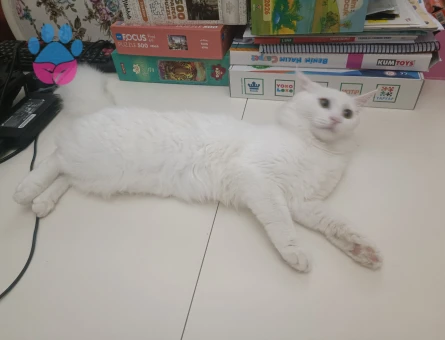 Kendimize eş arıyoruz