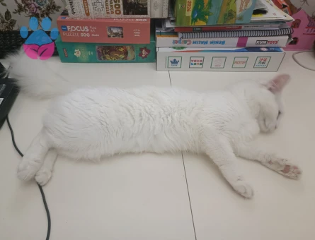 Kendimize eş arıyoruz