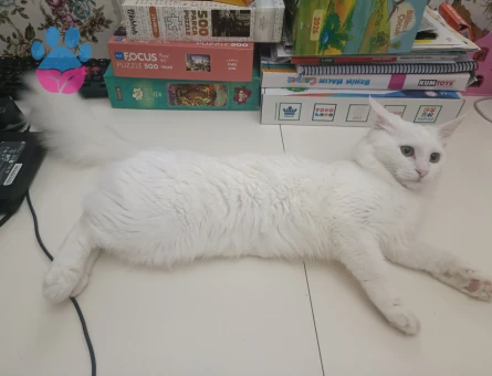 Kendimize eş arıyoruz