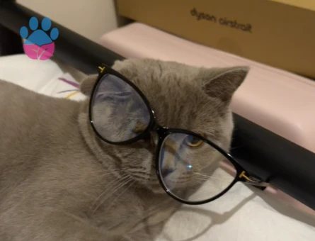 Bebek düşünen bir eş arıyoruz