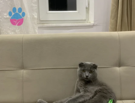 Oğluma kız arıyorum 😂