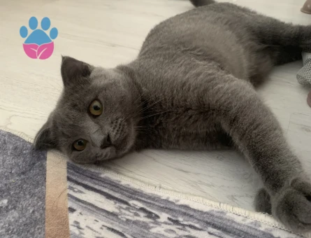 Oğluma kız arıyorum 😂