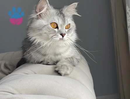 Oğlumuz bal taliplerini bekliyor