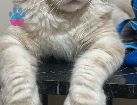 BULUTUMA EŞ ARIYORUM