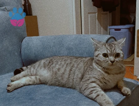 1.5 Yaşındaki Güzel Kızımıza Damat adayı Arıyoruz