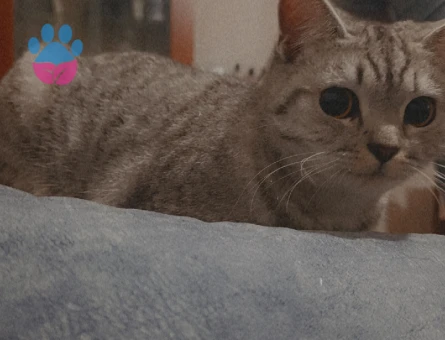 1.5 Yaşındaki Güzel Kızımıza Damat adayı Arıyoruz