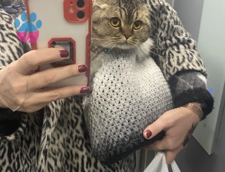 Çiftleşmek için erkek eş aranmaktadır