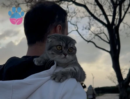 Kızımız Mila'ya Eş Arıyoruz