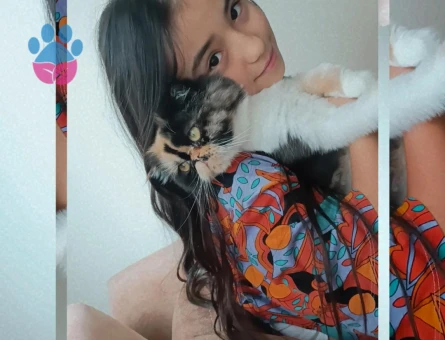 Prensesime eş arıyoruz