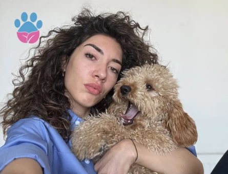 Oğluşumuza eş arıyoruz