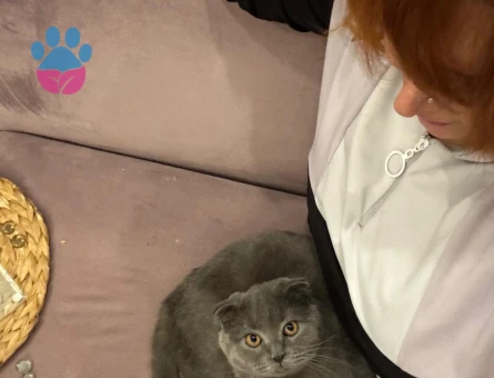 Yakışıklı Oğlumuz Date yapmak istiyor :)