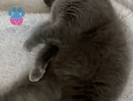 Yakışıklı Oğlumuz Date yapmak istiyor :)