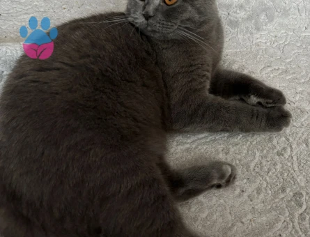 Yakışıklı Oğlumuz Date yapmak istiyor :)