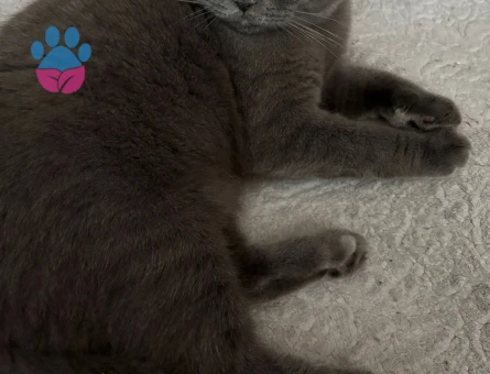 Yakışıklı Oğlumuz Date yapmak istiyor :)