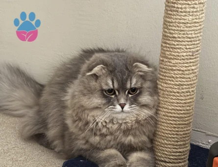 Oğluma eş arıyoruz :))