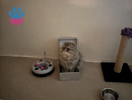 Oğluma eş arıyoruz :))