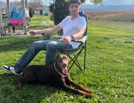 Bursa iznik DİŞİ Secereli doberman