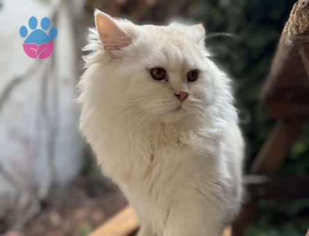 Oğluma arkadaş arıyoruz