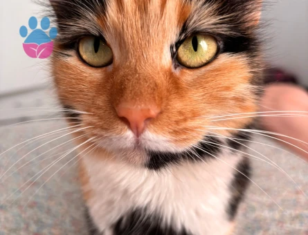 Deneyimli erkek eş arıyoruz