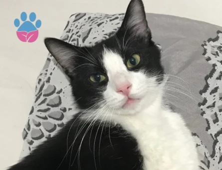 birtaneme eş arıyorum