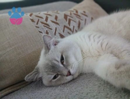 Yakışıklı oğlumuza eş arıyoruz ❤️