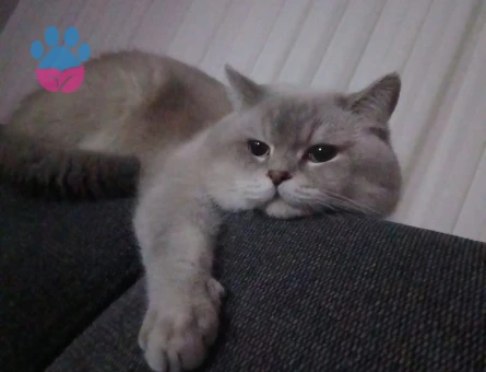 Yakışıklı oğlumuza eş arıyoruz ❤️