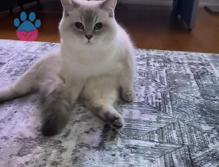 Yakışıklı oğlumuza eş arıyoruz ❤️