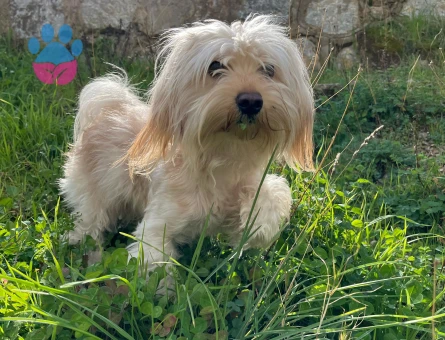 1 yaşında oğluma eş arıyorum.