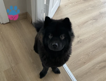 güzel kızım lilith