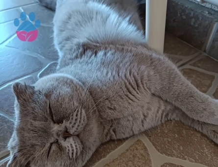 1 yaşında kızımıza eş arıyoruz