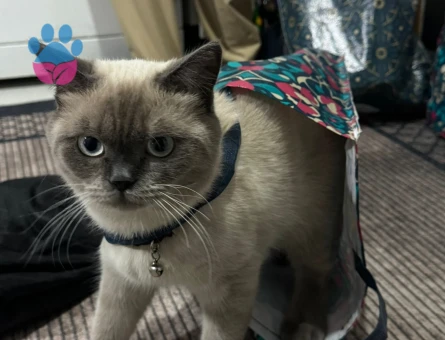 Oğlumuza Eş Arıyoruz