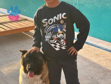 GÖZ BEBEĞİMİZE ERKEK ARKADAŞ ARIYORUZ