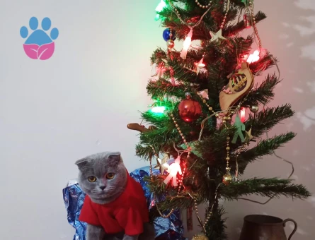 15 aylık kızımız