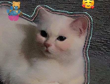 British 1,5 Yaşında Eş Arıyorum