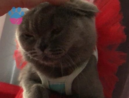 Güzel kızıma yakışıklı damat arıyorum(tıraşlı hali şuan güncel )