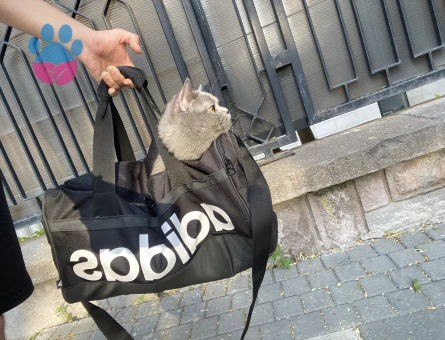 Oğlumuza kız Arıyoruz